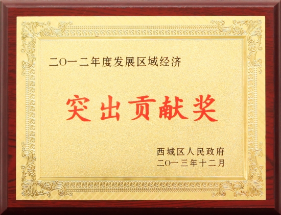 2012年度发展区域经济突出贡献奖